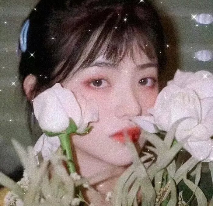 恋上纯喫茶2
